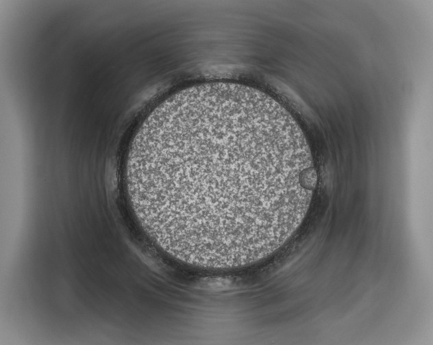 X0000115070687200911241122