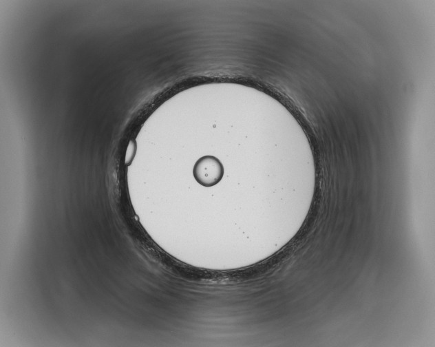 X0000115070688200911241122