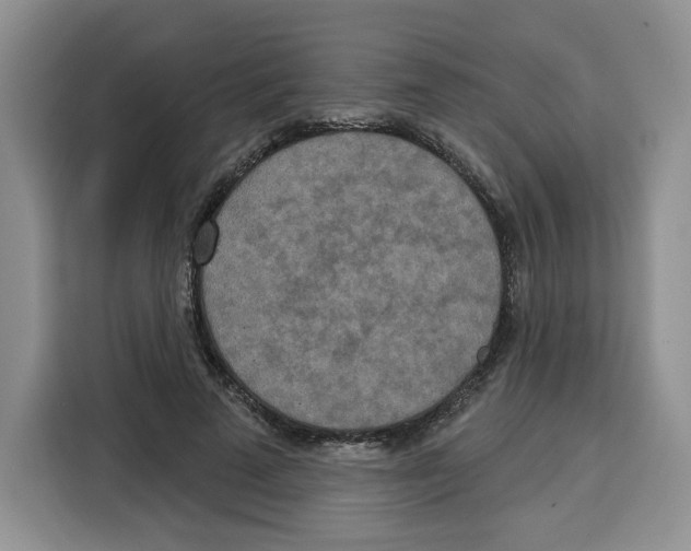 X0000115070689200911241122