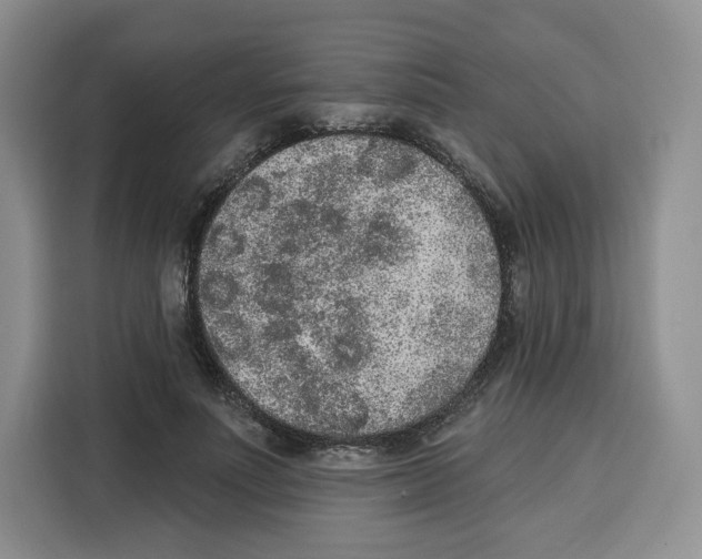 X0000115070691200911241122
