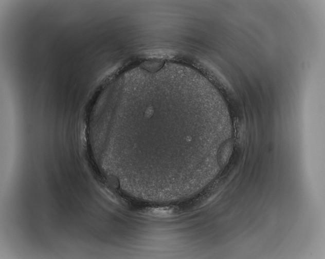 X0000115070692200911241122