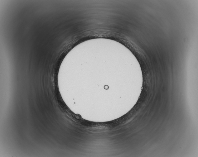 X0000115070696200911241122