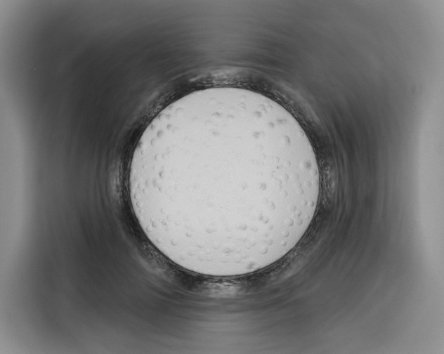 X0000115070698200911241122