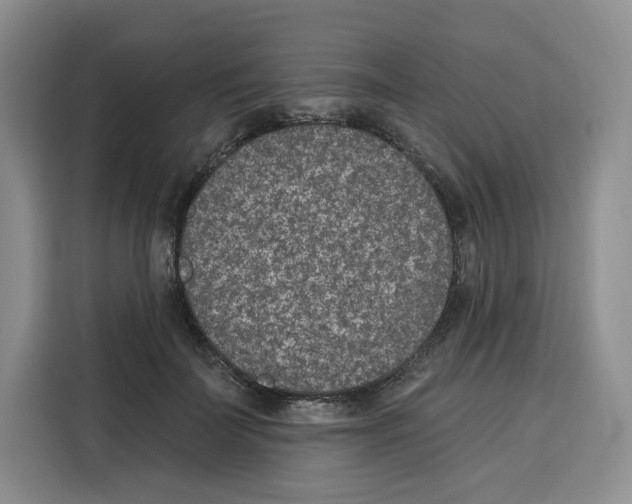 X0000115070699200911241122