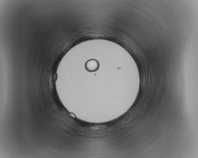 X0000115070700200911241122