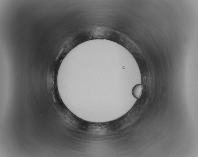 X0000115070702200911241122