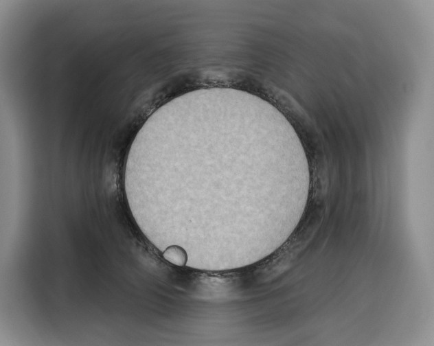 X0000115070706200911241122