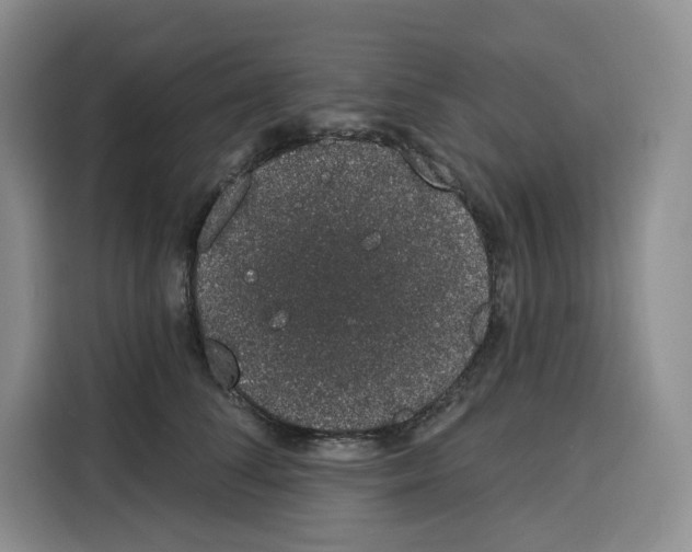 X0000115070708200911241122