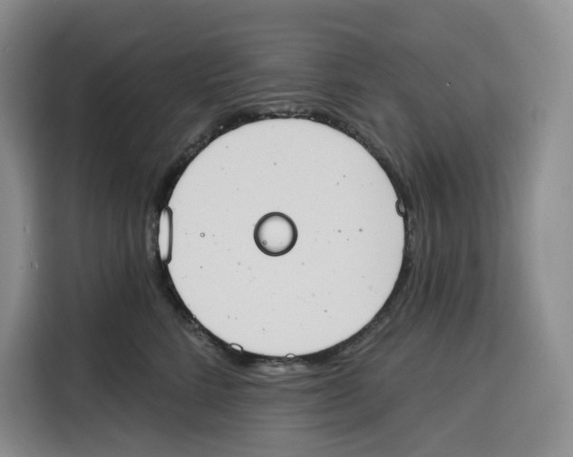 X0000115070712200911241122
