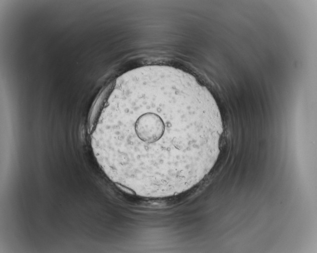 X0000115070715200911241122