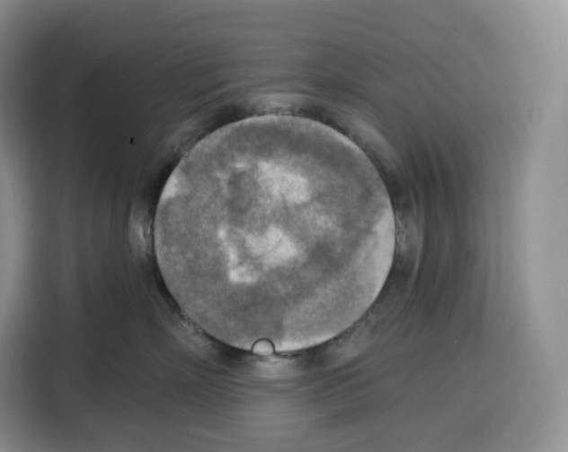 X0000115070718200911241122