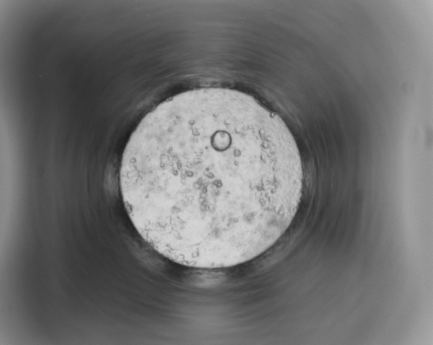 X0000115070719200911241122