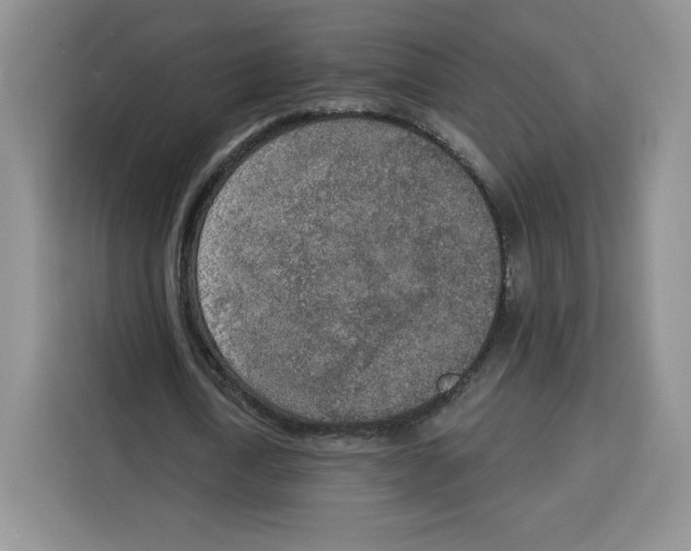 X0000115070722200911241121