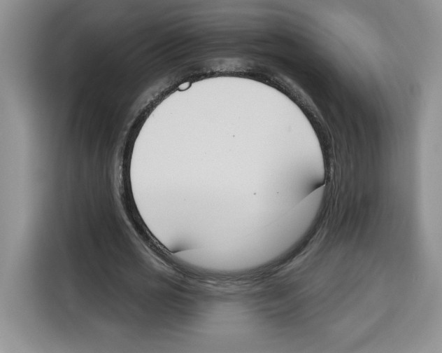 X0000115070725200911241121