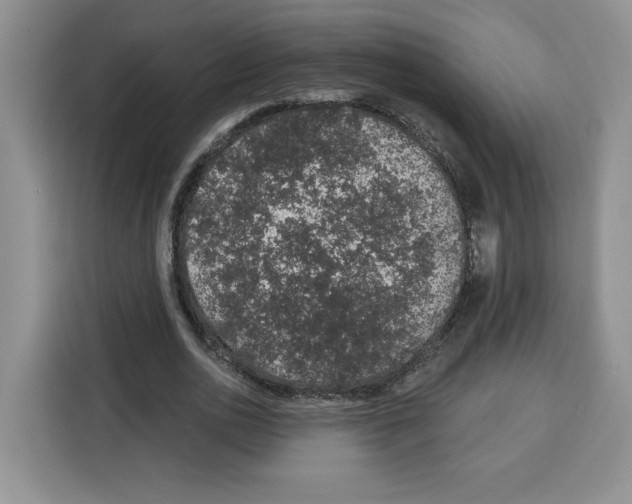 X0000115070726200911241121