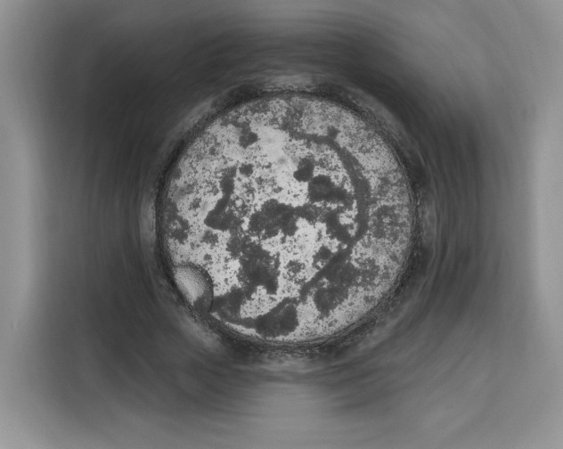 X0000115070729200911241121