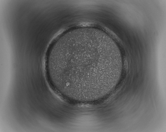 X0000115070730200911241121