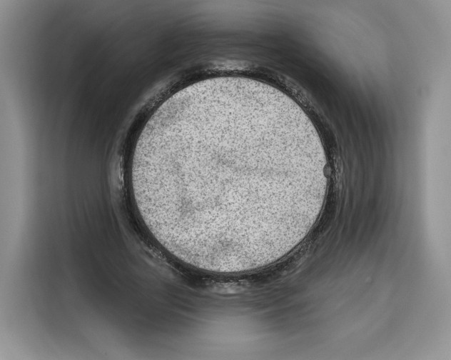 X0000115070731200911241121