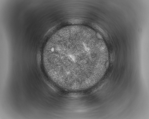 X0000115070733200911241121