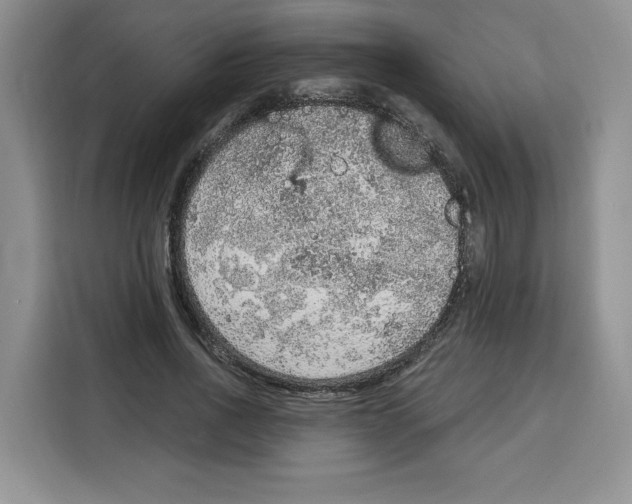 X0000115070734200911241121