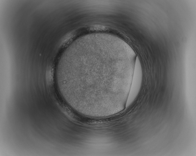 X0000115070735200911241121