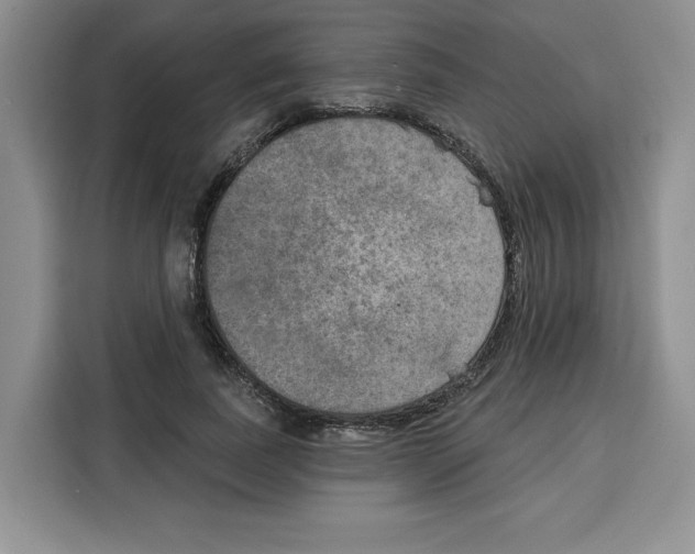 X0000115070739200911241122