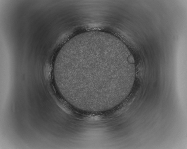 X0000115070742200911241122