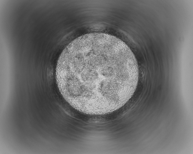 X0000115070745200911241122