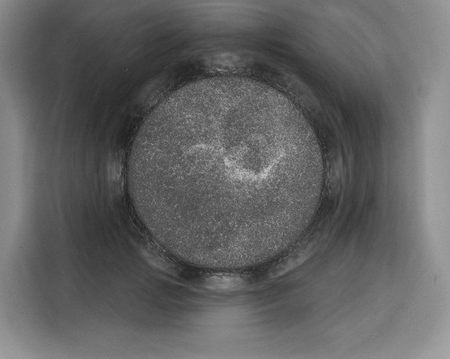X0000115070749200911241122