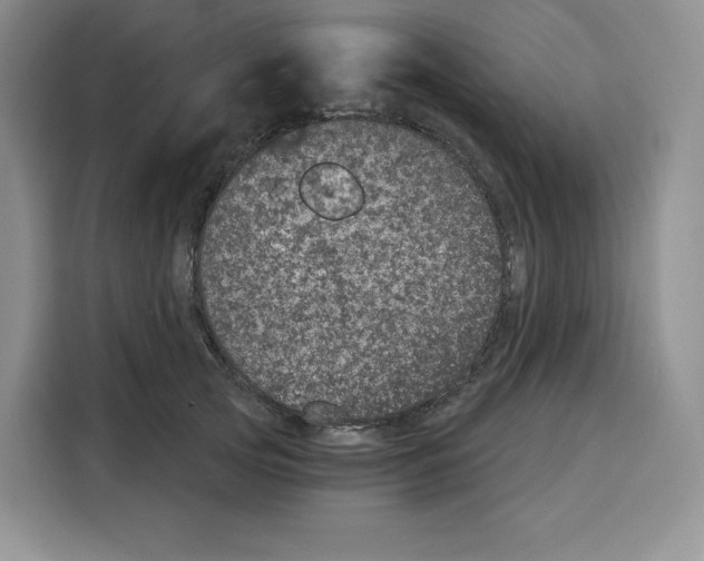 X0000115070753200911241122
