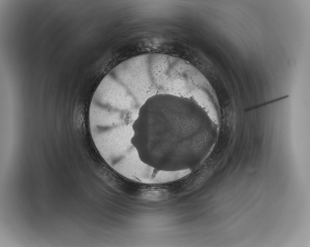 X0000115070754200911241122