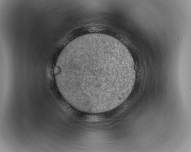 X0000115070755200911241122