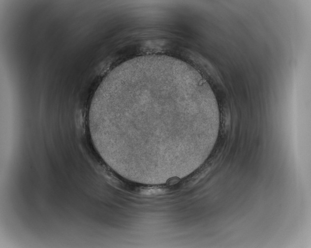 X0000115070759200911241122
