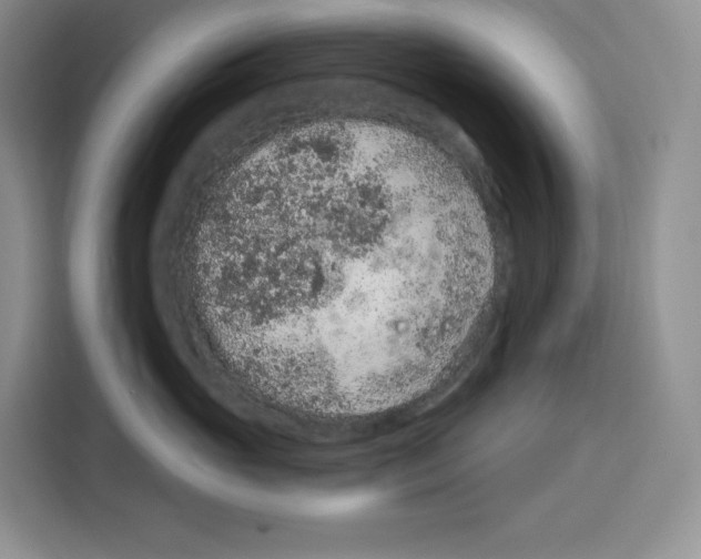 X0000115070765200911241122