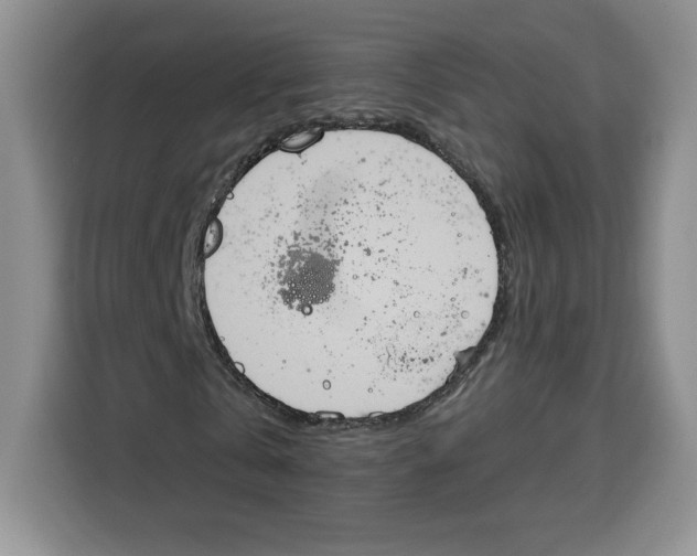 X0000115070769200911241121