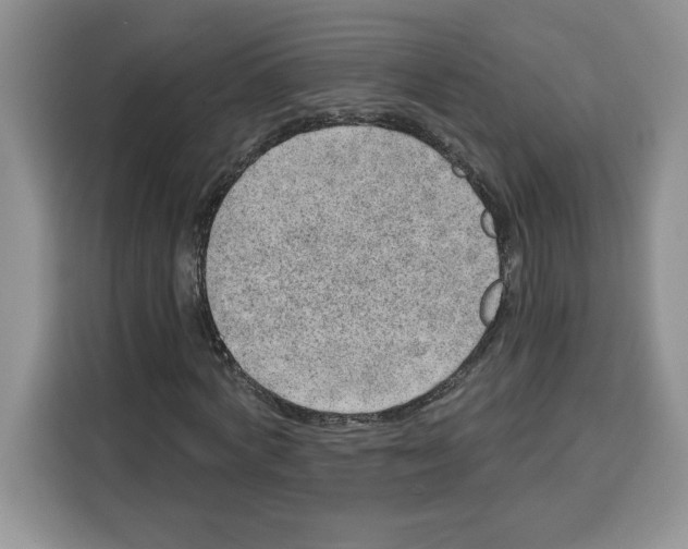 X0000115070772200911241121
