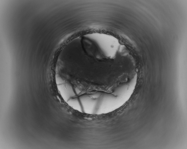 X0000115070776200911241121