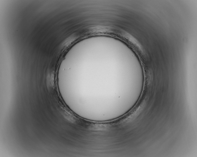 X0000115070777200911241121