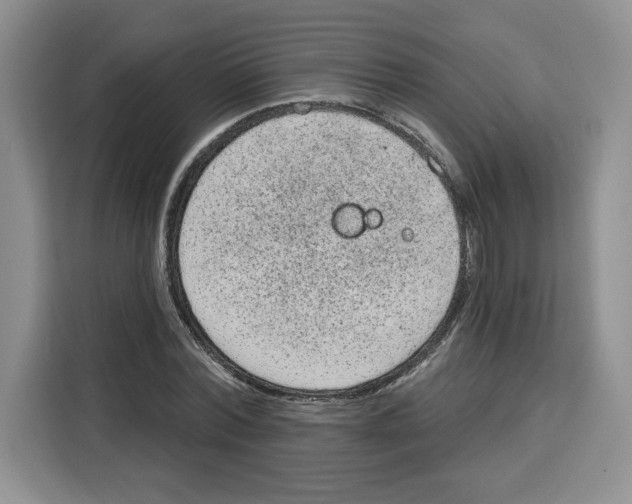 X0000115070780200911241121