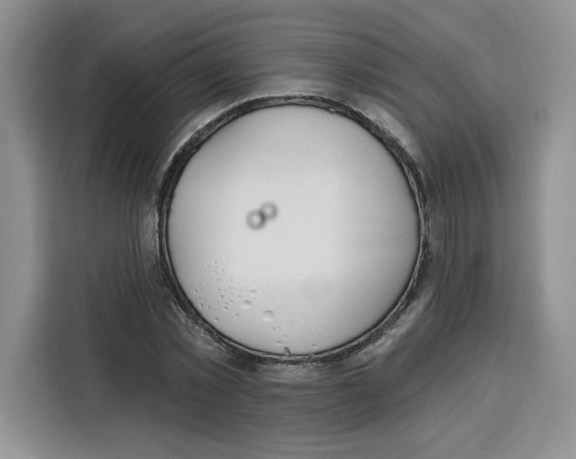 X0000115070781200911241121