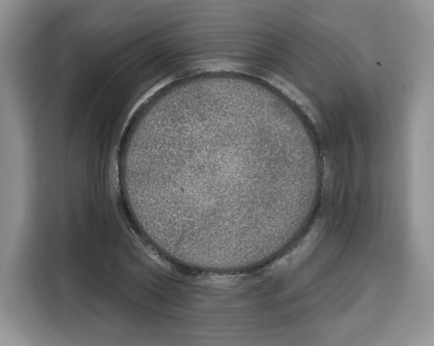 X0000115070782200911241121