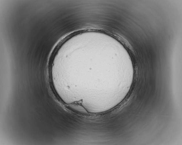 X0000115070784200911241121
