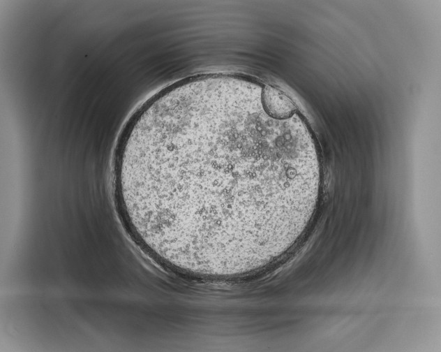 X0000115070787200911241121