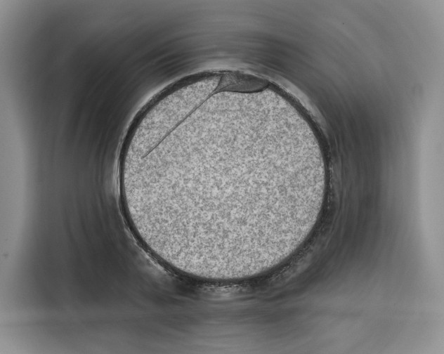 X0000115070791200911241121