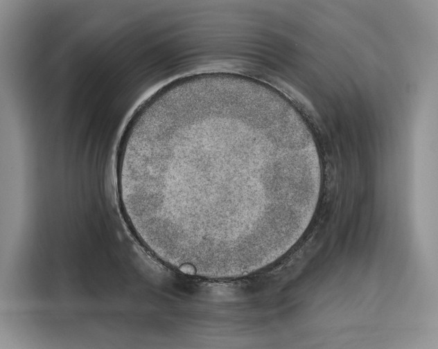 X0000115070792200911241121