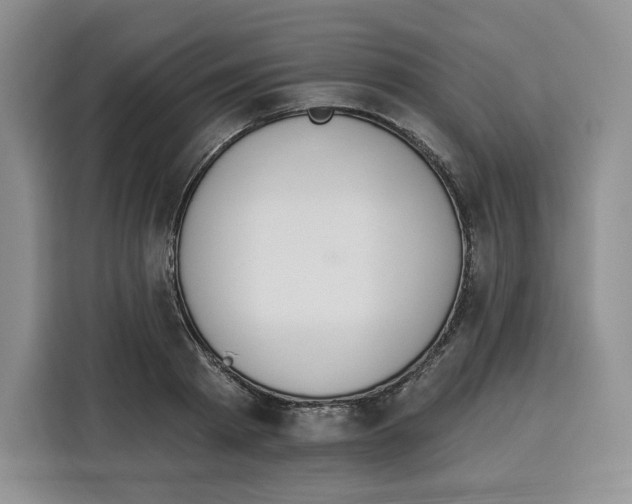 X0000115070793200911241121