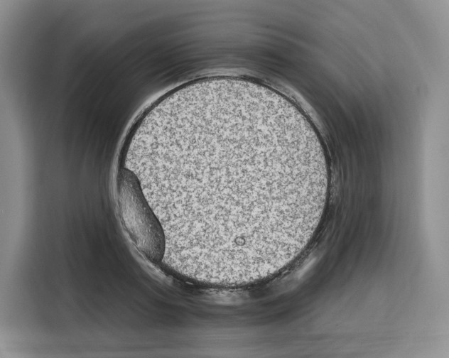 X0000115070795200911241121