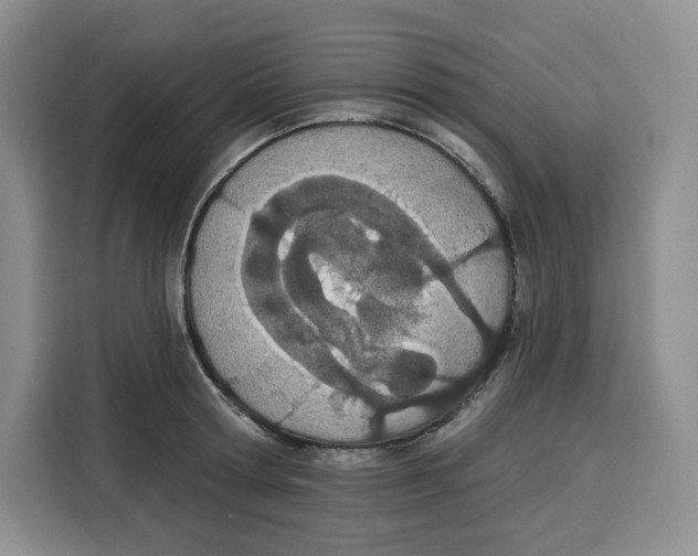 X0000115070802200911241121