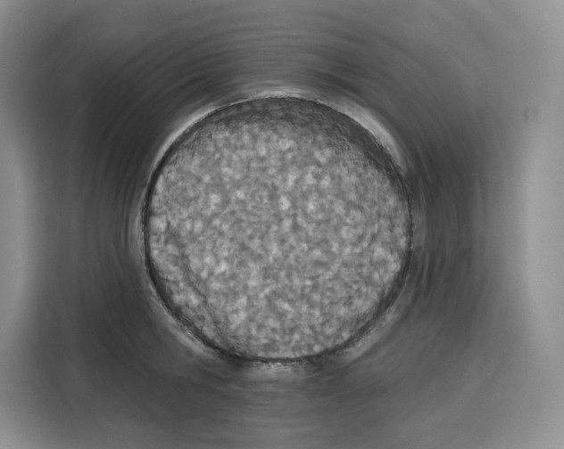 X0000115070806200911241121