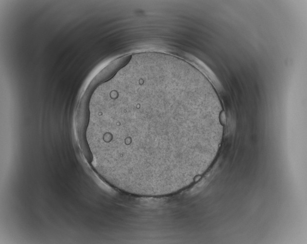 X0000115070812200911241121